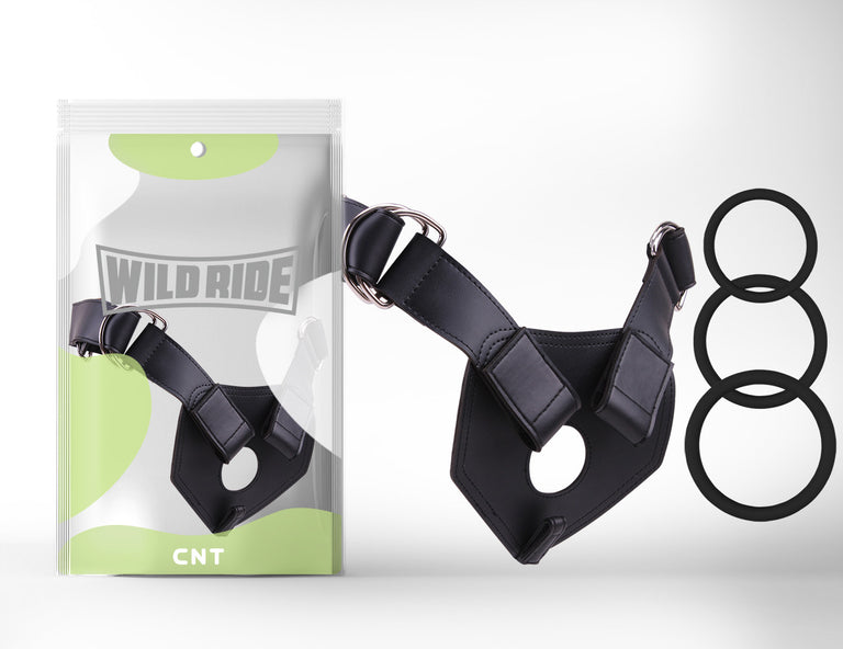Harness Basic Ⅱ