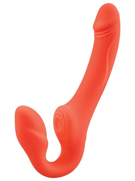 BODYWAND I.D ACCESS