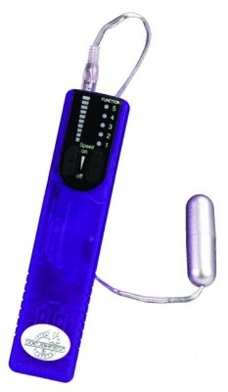 ivibe Controller With Egg Grape