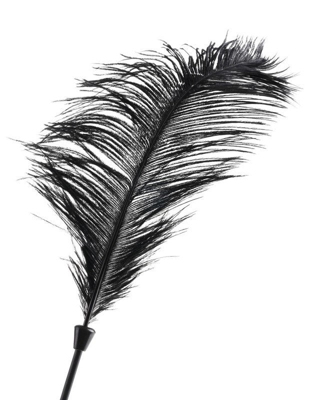 Fetish Fantasy Limited Edition - Love Plumes Single