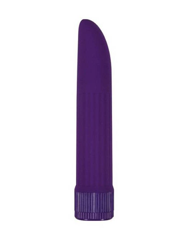 4Play Sexy Secrets  5in. Vibrator Purple