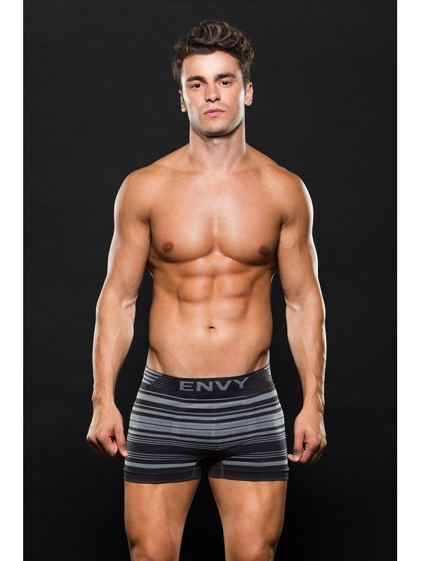 Envy Seamless Trunk Grey Stripes w/ Logo E063 M/L