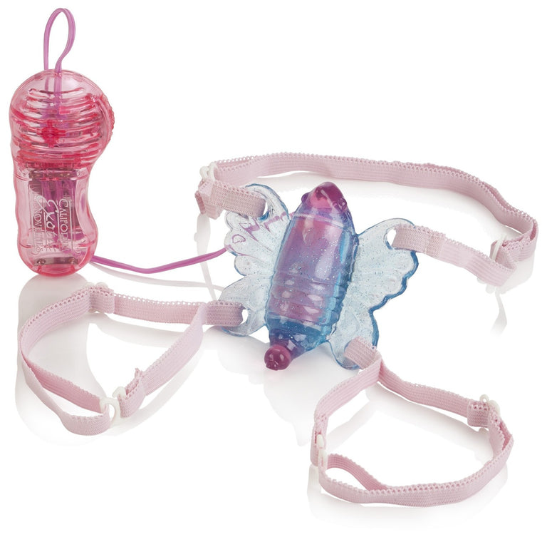 Shanes World Venus Butterfly