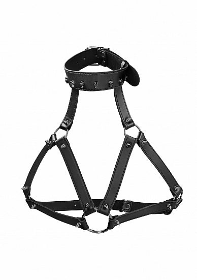 Skulls and Bones Harness with Skulls and Spikes Black
