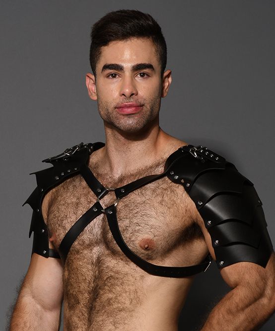 Gladiator Shoulder Harness